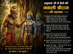 WhatsApp Image 2026-07-28 at 11.59.13 AM
