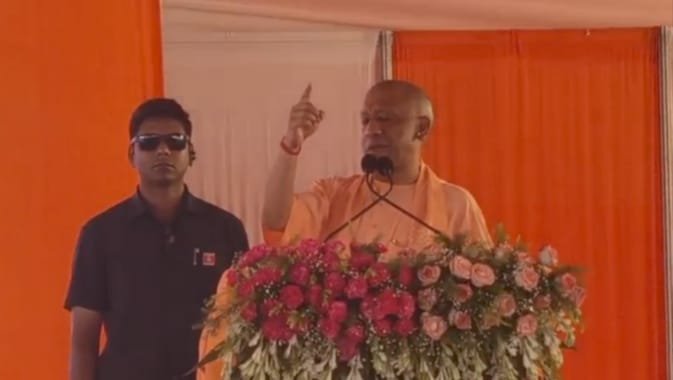 yogi