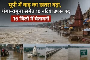 WhatsApp Image 2026-08-12 at 1.18.01 PM