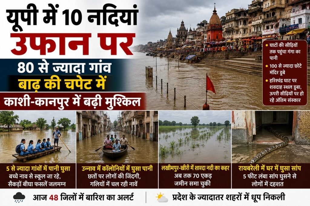 WhatsApp Image 2026-08-13 at 12.32.48 PM