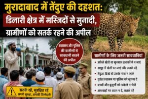 WhatsApp Image 2026-08-14 at 11.39.16 AM