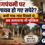 WhatsApp Image 2026-08-17 at 11.32.23 AM