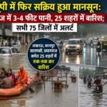 WhatsApp Image 2026-08-17 at 12.46.09 PM