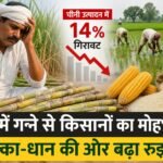 WhatsApp Image 2026-08-23 at 12.17.01 PM