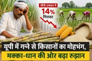 WhatsApp Image 2026-08-23 at 12.17.01 PM