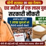 WhatsApp Image 2026-08-25 at 2.24.48 PM