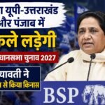 WhatsApp Image 2026-08-25 at 3.08.01 PM