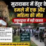 WhatsApp Image 2026-08-25 at 4.50.20 PM
