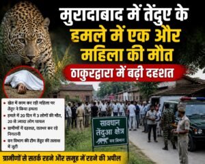 WhatsApp Image 2026-08-25 at 4.50.20 PM