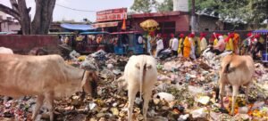 823648e1-5b62-4d12-a325-a389a587eb27