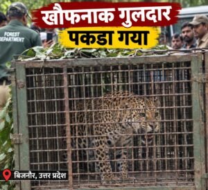 WhatsApp Image 2026-09-05 at 12.54.46 PM