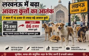 WhatsApp Image 2026-09-23 at 6.02.04 PM