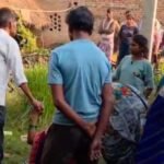 2785ff04-423a-4ac8-8347-867ae4778737